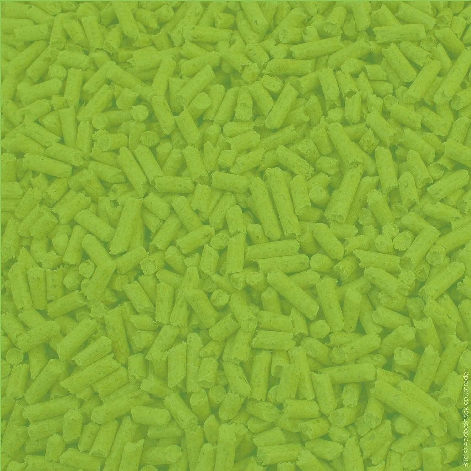 Holzpellet Silo